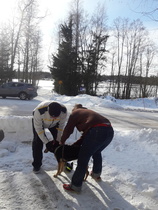 Miljoona mikrosirua 4.3.2018